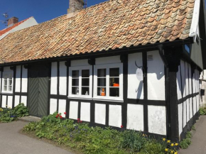 Elins Lycka i Viken in Viken